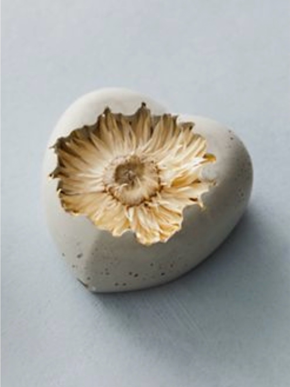 Free People Dried Flower Concrete Heart